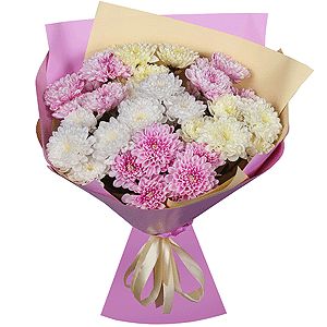 Timeless with delivery Kerch
