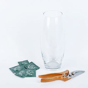 Bouquet care set with a vase with delivery Kerch