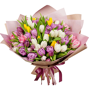 Tulips 75 pcs with delivery Kerch
