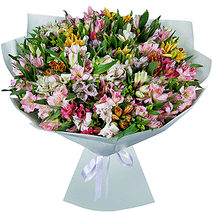 51 Alstroemerias with delivery Kerch