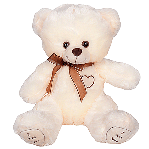Teddy bear 30 cm with delivery Kerch