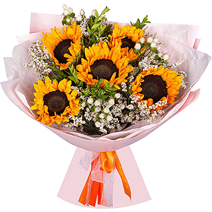 Sunny Mood with delivery Kerch