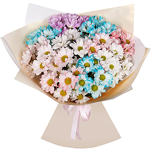 Palette of Joy with delivery Kerch