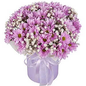 Lilac Dreams with delivery Kerch