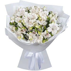 Snow White Dreams with delivery Kerch