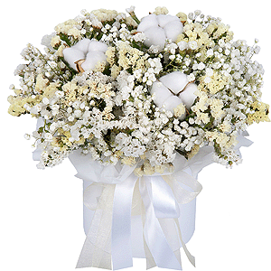 Cloud Softness with delivery Kerch