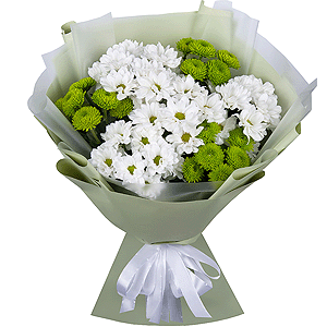 Chrysanthemums Waltz with delivery Kerch