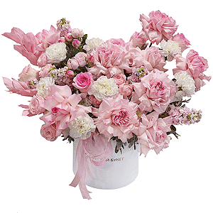Pink Bliss with delivery Kerch