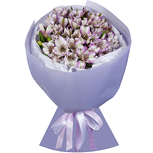 Lilac Dew with delivery Kerch