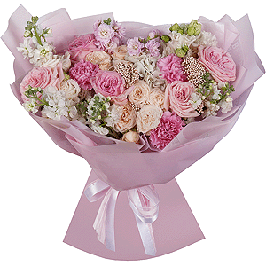 Gentle Whim with delivery Kerch