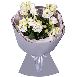 Bright Dreams with delivery Kerch