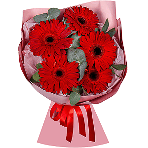 Dreams of Love with delivery Kerch