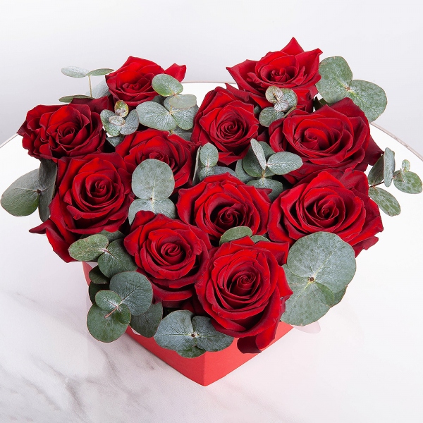 Red rose 50 cm - 11, Composition Box, Oasis, Eucalyptus