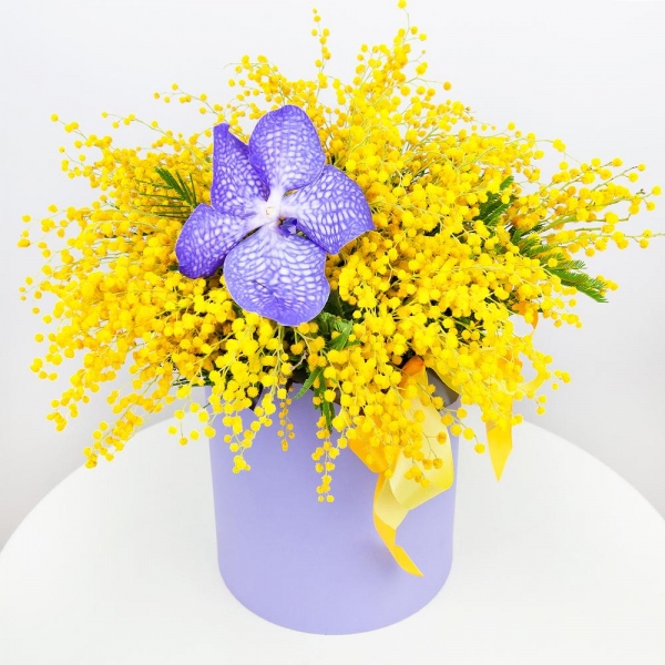 Vanda Orchid bud - 2, Mimosa - 9, Round flower box small , Film, Ribbon, Flask for orchids, Oasis
