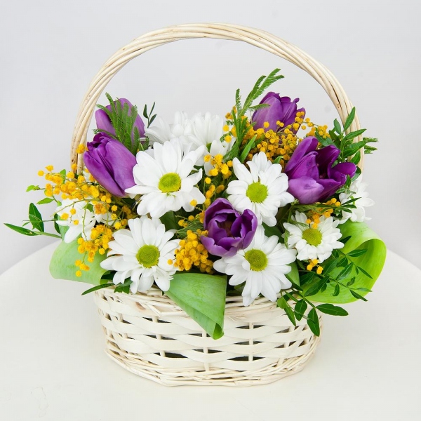 Lilac tulip - 9, Bacardi White Spray Chrysanthemum - 2, Mimosa - 3, Small Basket, Oasis, Pistachio