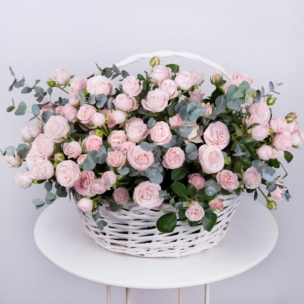 Peony sprayrose - 42, Large Basket, Oasis, Eucalyptus Cinerea