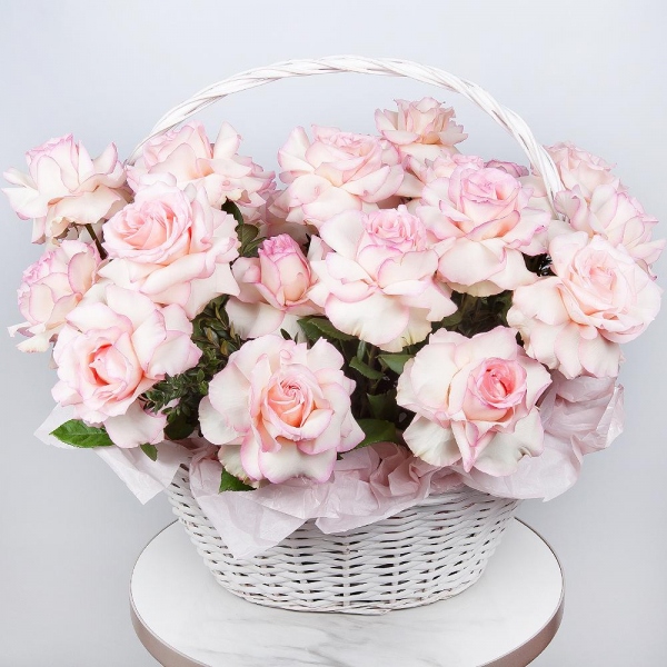 Rose Esperance - 25, Large Basket, Oasis, Pistachio, Wrapping Paper
