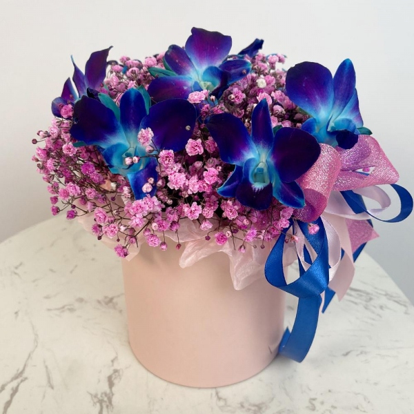 Gypsophila - 6, Orchid Dendrobium - 9, Flask for orchids, Oasis, Round flower box small , Ribbon