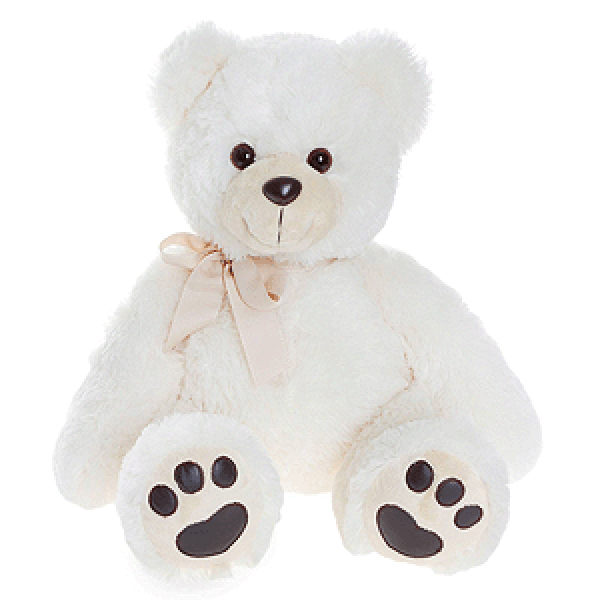 Magical bear