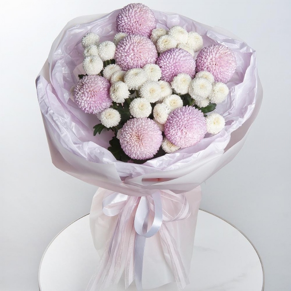 Momoko Chrysanthemum - 9, Newton White Spray Chrysanthemum - 5, Wrapping Paper