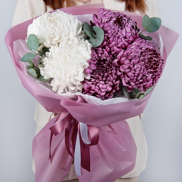 Chrysanthemum Bigoudi purple - 9, Eucalyptus, Wrapping Paper