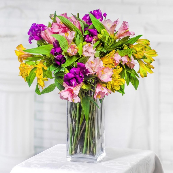 Alstroemerias - 13, Ribbon