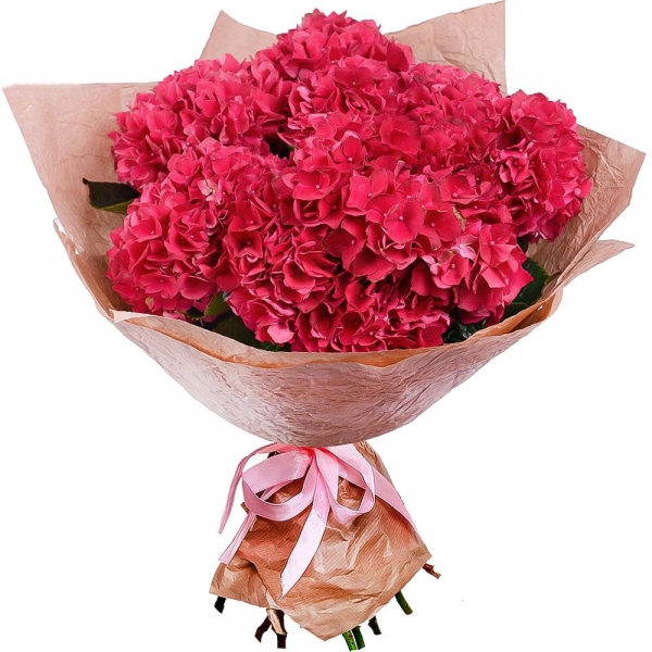Hydrangea - 9, Wrapping Paper