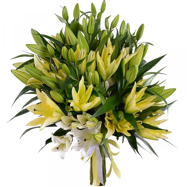 Lily - 15, Ribbon