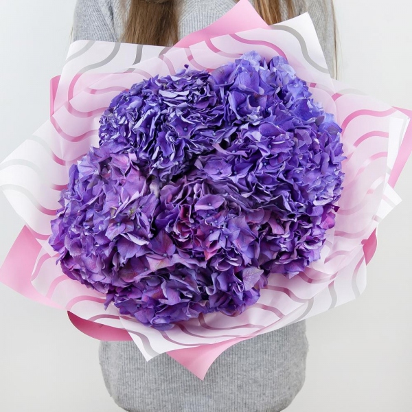 Blue/purple hydrangea - 7, Wrapping Paper