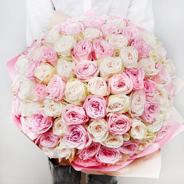 Peony style roses - 163, Wrapping Paper, Ribbon