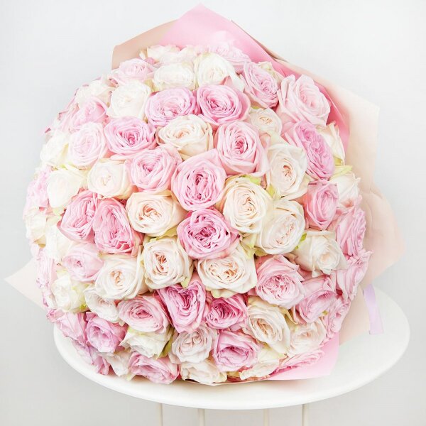 Peony style roses - 163, Wrapping Paper, Ribbon