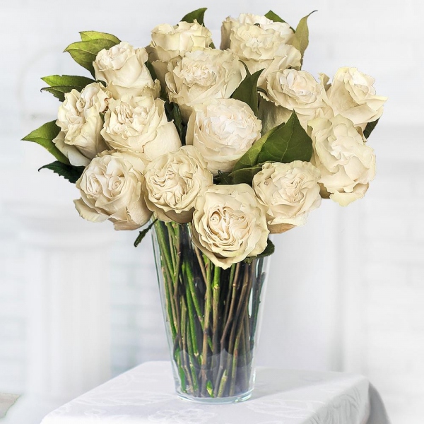 White rose 50 cm Ecuador - 25, Salal, Wrapping Paper