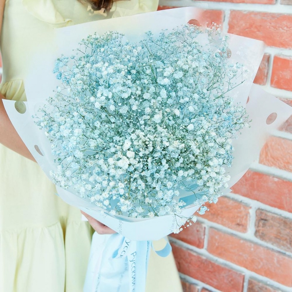 Colored gypsophila - 11, Wrapping Paper, Ribbon