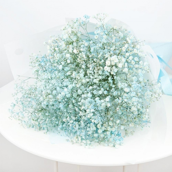 Colored gypsophila - 11, Wrapping Paper, Ribbon