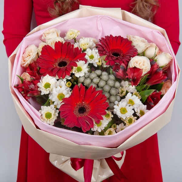 Gerbera red - 3, Santini White Spray Chrysanthemum - 3, Spray rose: white, cream, light pink 50 cm - 2, Alstromeria Red, Bright Pink - 2, Brunia Green Lanuginosa (1 pc.), Wrapping Paper, Ribbon