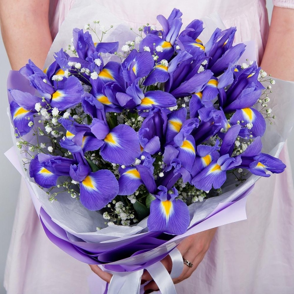 Irises - 13, Gypsophila - 2, Wrapping Paper