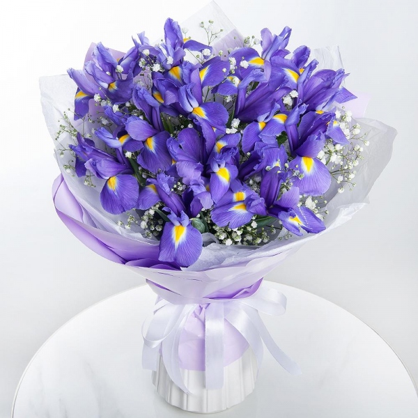Irises - 13, Gypsophila - 2, Wrapping Paper