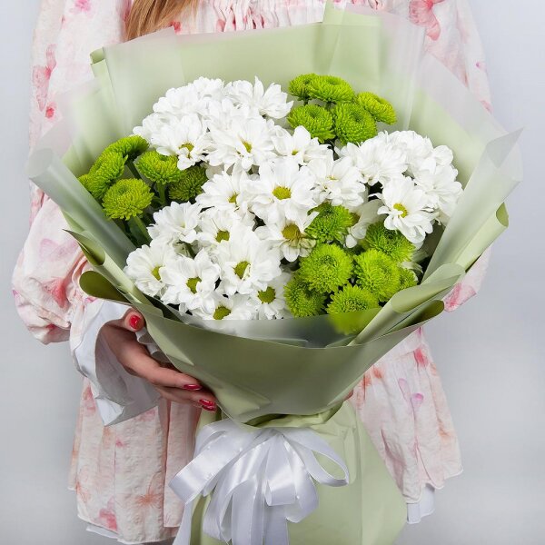 Bacardi White Spray Chrysanthemum - 4, Athos pom Feeling Green - 3, Wrapping Paper