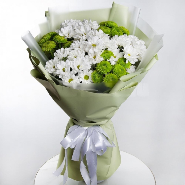 Bacardi White Spray Chrysanthemum - 4, Athos pom Feeling Green - 3, Wrapping Paper