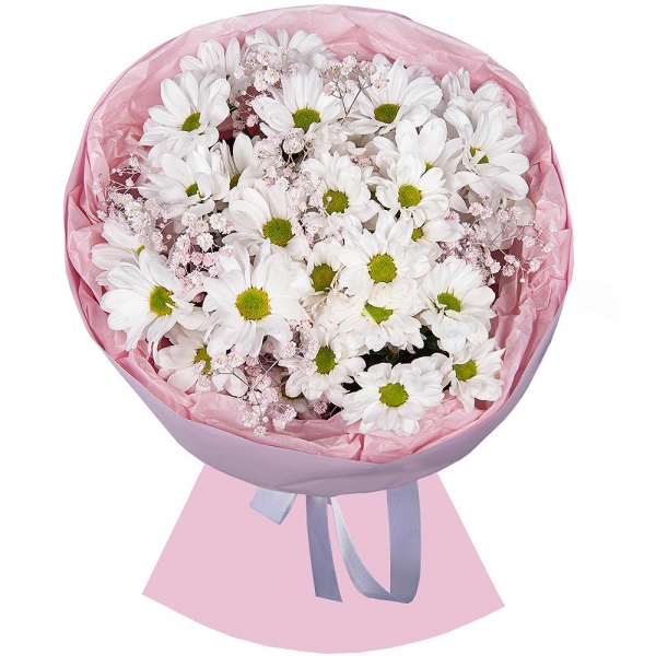 Baltica White Spray Chrysanthemum - 5, Gypsophila - 1, Wrapping Paper